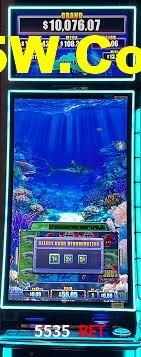 VIP Casino 5535 Bet